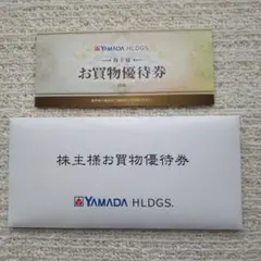 ヤマダデンキ お買物優待券