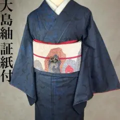 2026年最新】泥染大島紬の人気アイテム - メルカリ