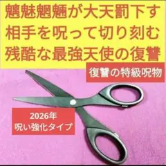 2026年最新】fuji シザーの人気アイテム - メルカリ