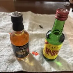 非売品】JINRO 25 復刻ラベル ミニボトル 80ml 箱付き 韓国焼酎 - メルカリ