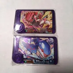 ポケモンフレンダ ベストタッグ2弾 スーパートレジャー グラードン カイオーガ