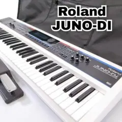 希少 roland juno-6 シンセサイザー ハードケース付き 動作確認済み 希少 roland juno-6 シンセサイザー ハードケース付き 動作確認