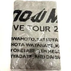 Snow Man LIVE TOUR 2022 Labo. タオル