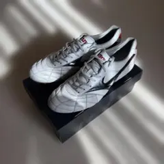 モレリア2Japan