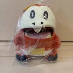新品⭐︎ポケモン モンスター　でっかいぬいぐるみ 　二ァオハ ホゲータ　クワッス