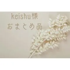 Keishu様 リクエスト 2点 まとめ商品