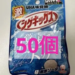 シゲキックス しげもん ぬいぐるみ UHA味覚糖 非売品 BIG - メルカリ