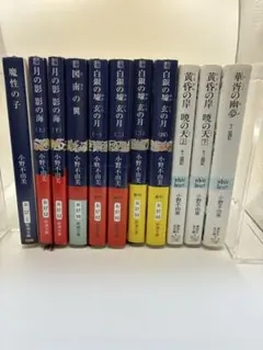 2026年最新】小野不由美 十二国記 全巻の人気アイテム - メルカリ