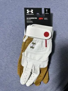 Item thumbnail for item 29033b49-0f4d-4378-b89b-b52d039e0cdd