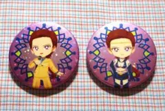 【匿名発送】セーラームーンストアオリジナル ホログラム缶バッジ 大気光/メイカー