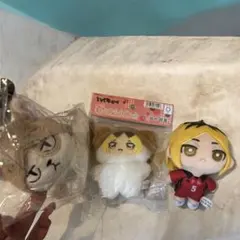 孤爪研磨ぬいぐるみセット