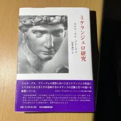 ミケランジェロ研究 美術 イタリア ルネサンス