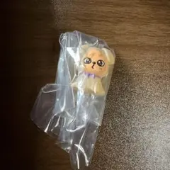 SKZOO スキズ　めじるしアクセサリー パピム スンミン