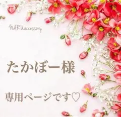 たかぼー様 リクエスト 5点 まとめ商品