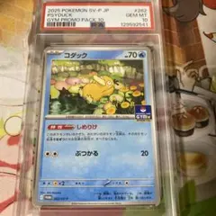 【PSA10】コダック ジムプロモ しめりけ 262/SV-P