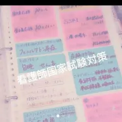 【国家試験合格！！】 看護師国家試験対策 付箋ノート 全ページ