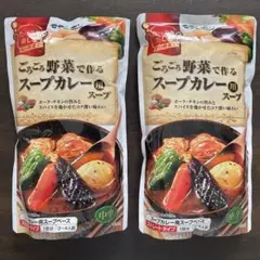 モランボン ごろごろ野菜で作るスープカレー用スープ 中辛 2袋セットのサムネイル