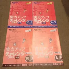 2025年最新】チャレンジ3年生の人気アイテム - メルカリ