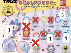 h 様専用　TRUZ めじるしアクセサリー