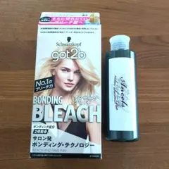 美品 got2b ボンディングブリーチ & エンシェールズ カラーシャンプーのサムネイル