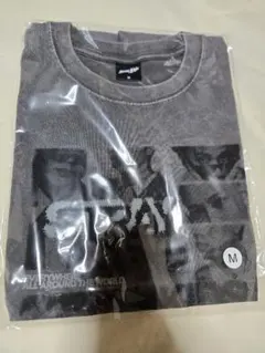 straykids RUNITJAPAN スキズ フォト Tシャツ M グレー