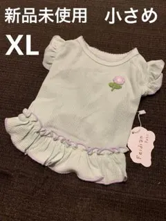 Item thumbnail for item 2b490d20-2d53-48f7-b8ff-436f6e2dce77