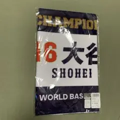 Item thumbnail for item e3648333-a2d4-4f87-8173-880453105206