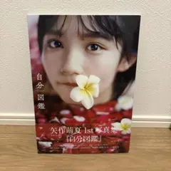 矢作萌夏（元AKB48）写真集　自分図鑑