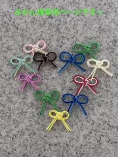 みかん様専用ページです☆