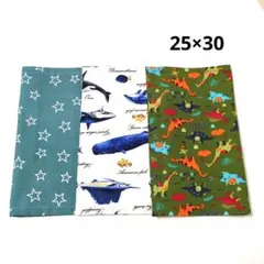 ランチョンマット 25×30 星柄 魚柄 恐竜柄