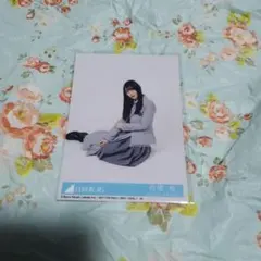 Item thumbnail for item 8d1d69a7-9822-4c09-9e9e-54325f50f3eb