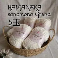 [人気] ソノモノ グラン col.161 アイボリー 5玉 日本製 超極太