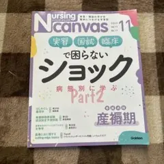 NursingCanvas 2023年11月号