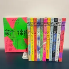 月刊 新潮 2025年 1月号〜12月号 12冊セット 文芸誌 ev73