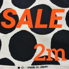 オックス生地　ドット柄
