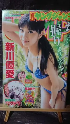 新川優愛 雑誌切り抜きセット