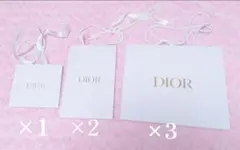 【✨即購入大歓迎✨】 Dior ショップ袋セット