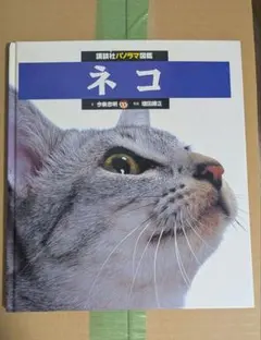 Item thumbnail for item 2d0b30a7-c962-444e-a843-f6445052e4ae