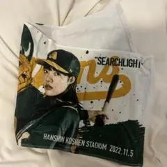 あいみょん甲子園ライブ タオル