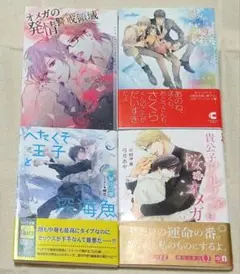 【☆】BL小説　４冊セット
