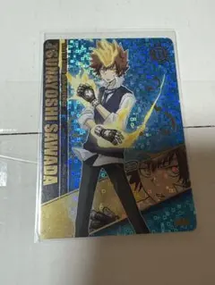 家庭教師ヒットマンREBORN　サザンクロス バトルカード No.59 沢田綱吉