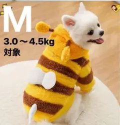 Item thumbnail for item 11786b40-95a7-4b04-81fc-cb730ec50177