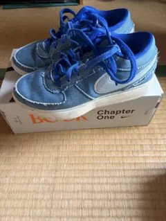 希少❗️NIKE book1 Blue Blood EP 28cm ブッカー - メルカリ
