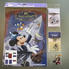 ディズニークリアファイル&限定キーホルダー&ピンバッチ　4点