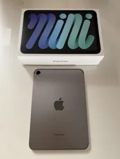 iPad mini7 Wi‑Fi + Cellular 256GBスペースグレイ