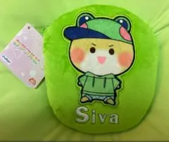 カラフルピーチ シヴァ アップリケポーチ からぴち