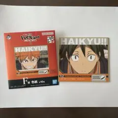 ハイキュー!! ゴミ捨て場の決戦2 一番くじＦ賞　山口忠 くん