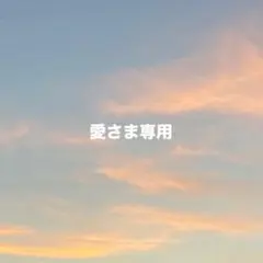 愛様 リクエスト 2点 まとめ商品