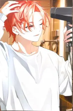 りうら　いれいす　オリジナルランダムブロマイド5弾