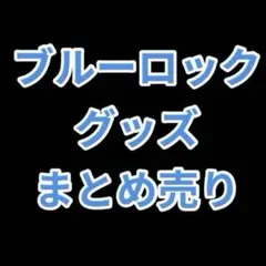 ブルーロック グッズ 原画 ぱしゃこれ アクスタ アクキー ぬい 特典 缶